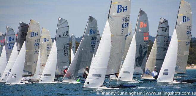 Alt Fleet